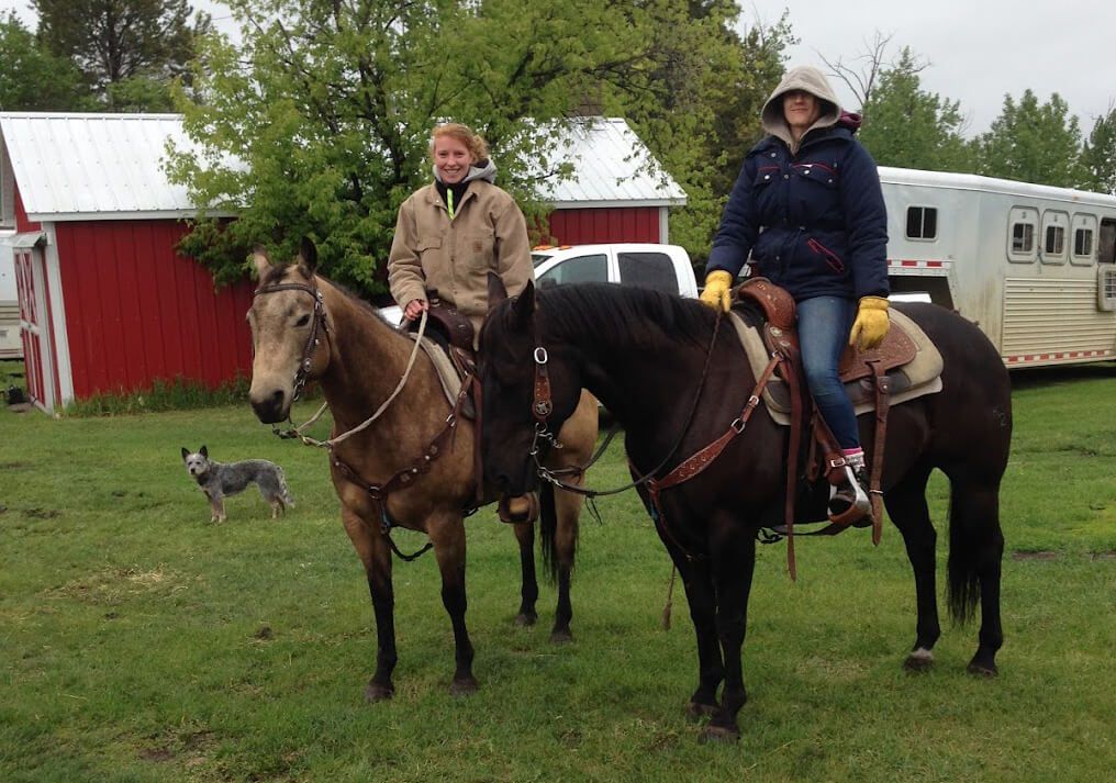 Volunteering and working with horses in Canada Hooves Around the World